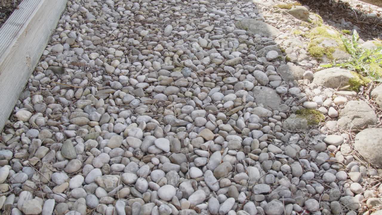 家庭花园中的石阶和砾石视频素材