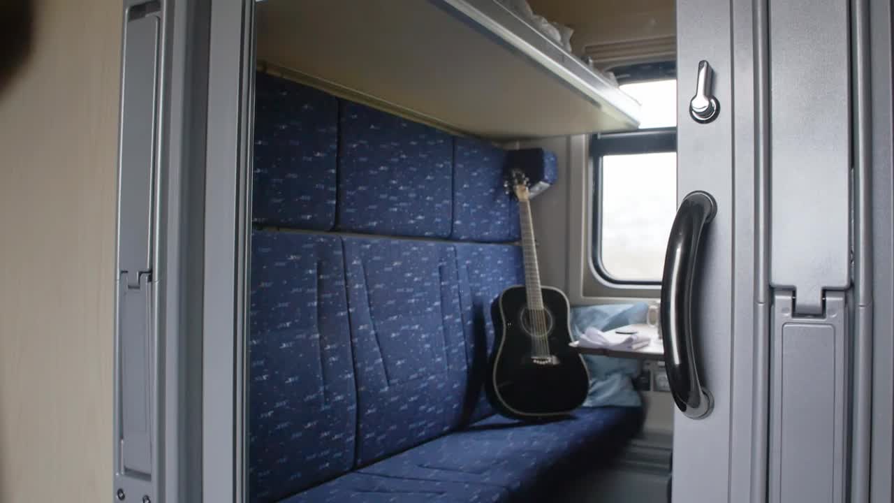 一名女乘客带着一只姜黄色的猫和一个装着东西的袋子进入了一列客运列车的车厢视频下载