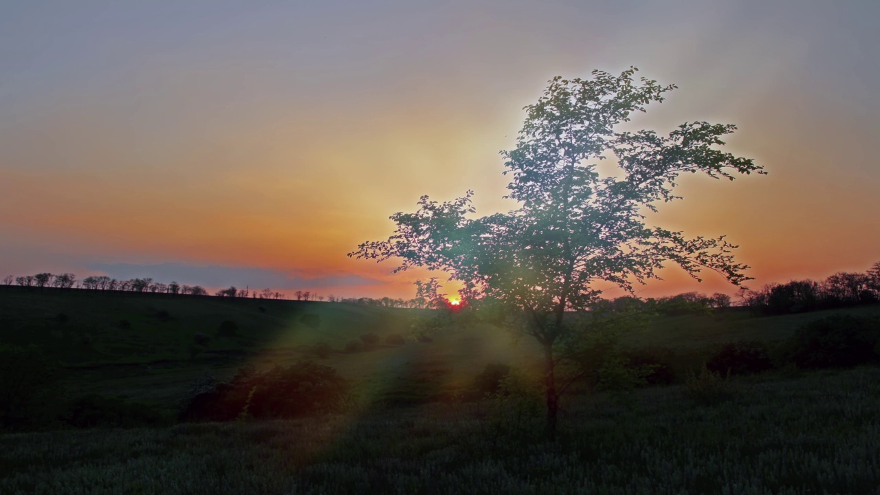 夏季景观——夕阳叶阳光视频素材