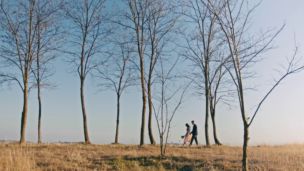 新娘和新郎牵着手一起走在草地上视频素材