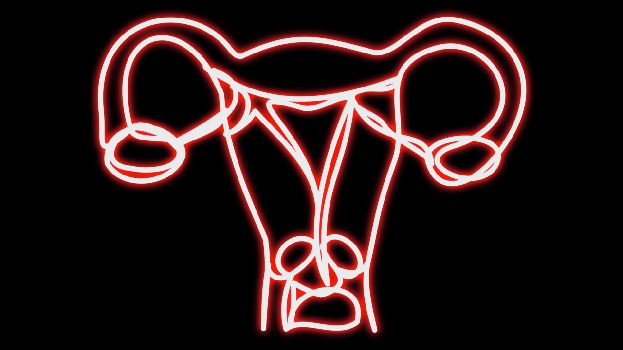 女性生殖器官的霓虹灯动画。视频下载