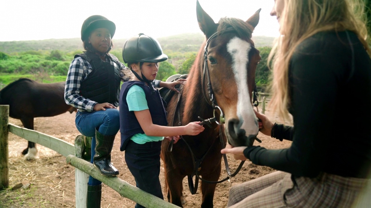女孩们在乡村围场抚摸马匹，学习骑马视频下载