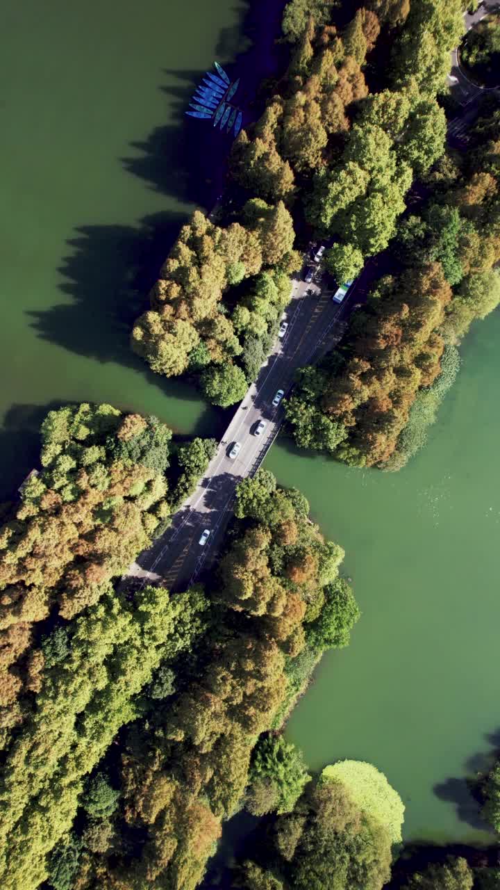 通过湖泊和树木区域的道路鸟瞰图视频素材