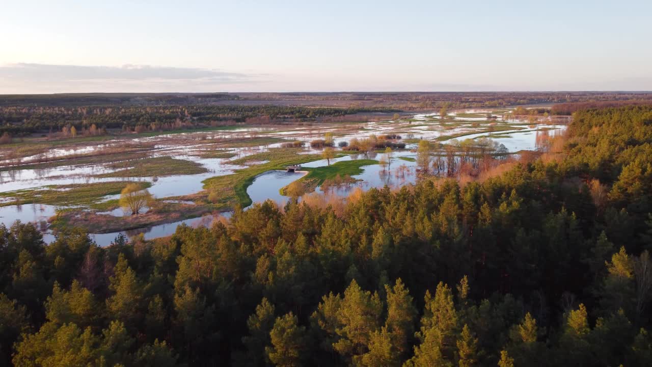 春天从森林飞到泛滥的河谷视频素材