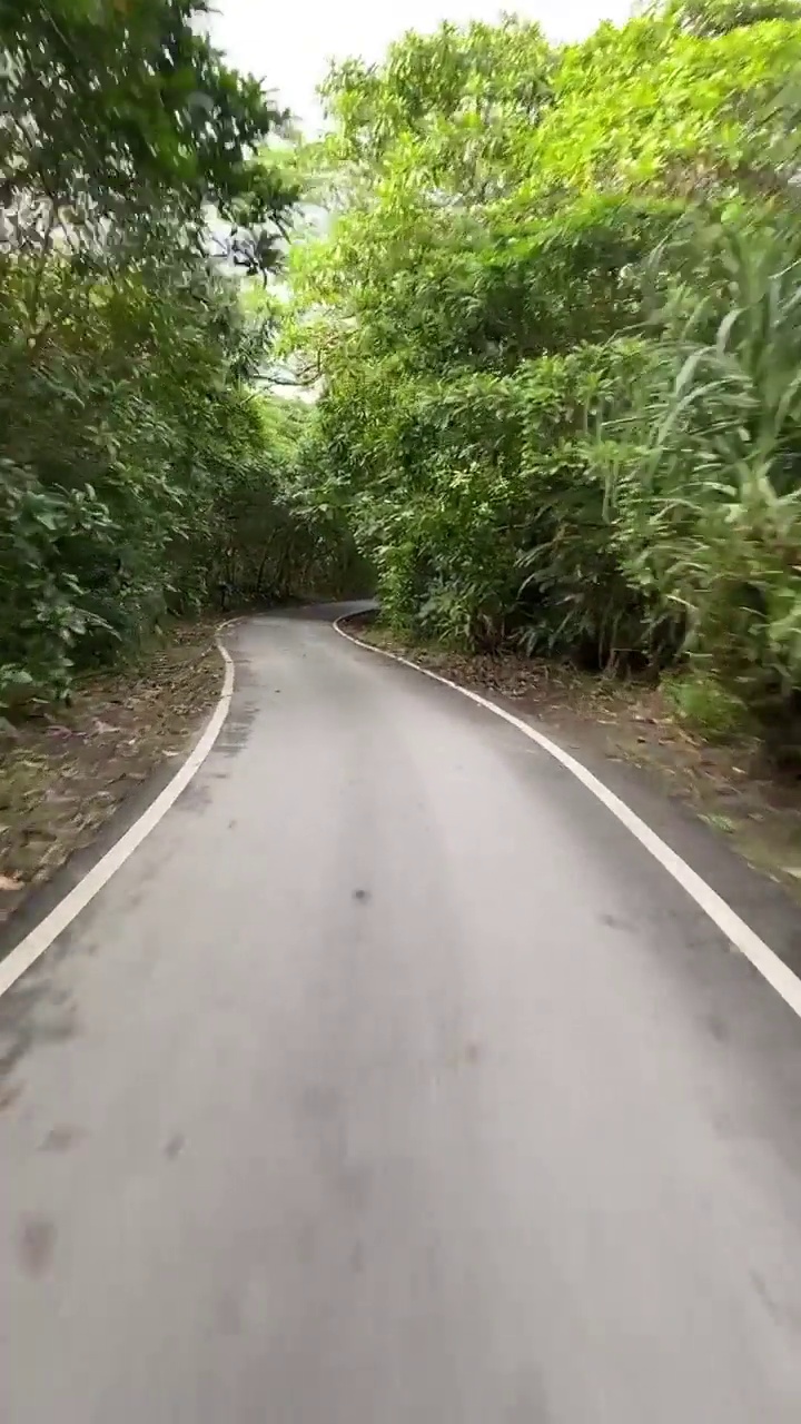 沿着树木环绕的道路骑行视频下载