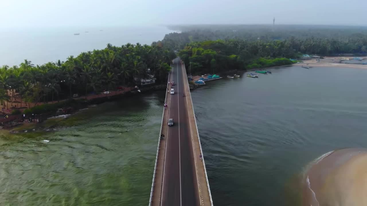 鸟瞰图印度沿海大桥公路周围的棕榈树。视频素材