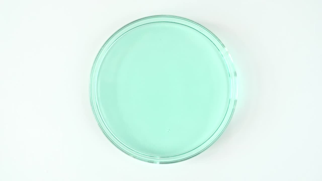 透明的蓝色化妆品液体滴在一个玻璃碗的皮氏培养皿。Macro Shot精华液，乳霜，透明尿酸。有机化妆品、药品。慢动作视频下载