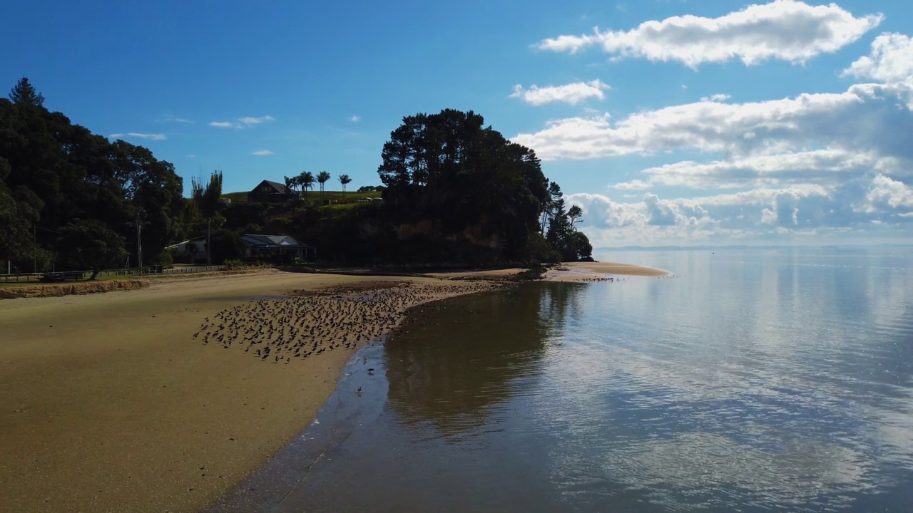 新西兰奥克兰的Shelly Beach视频下载