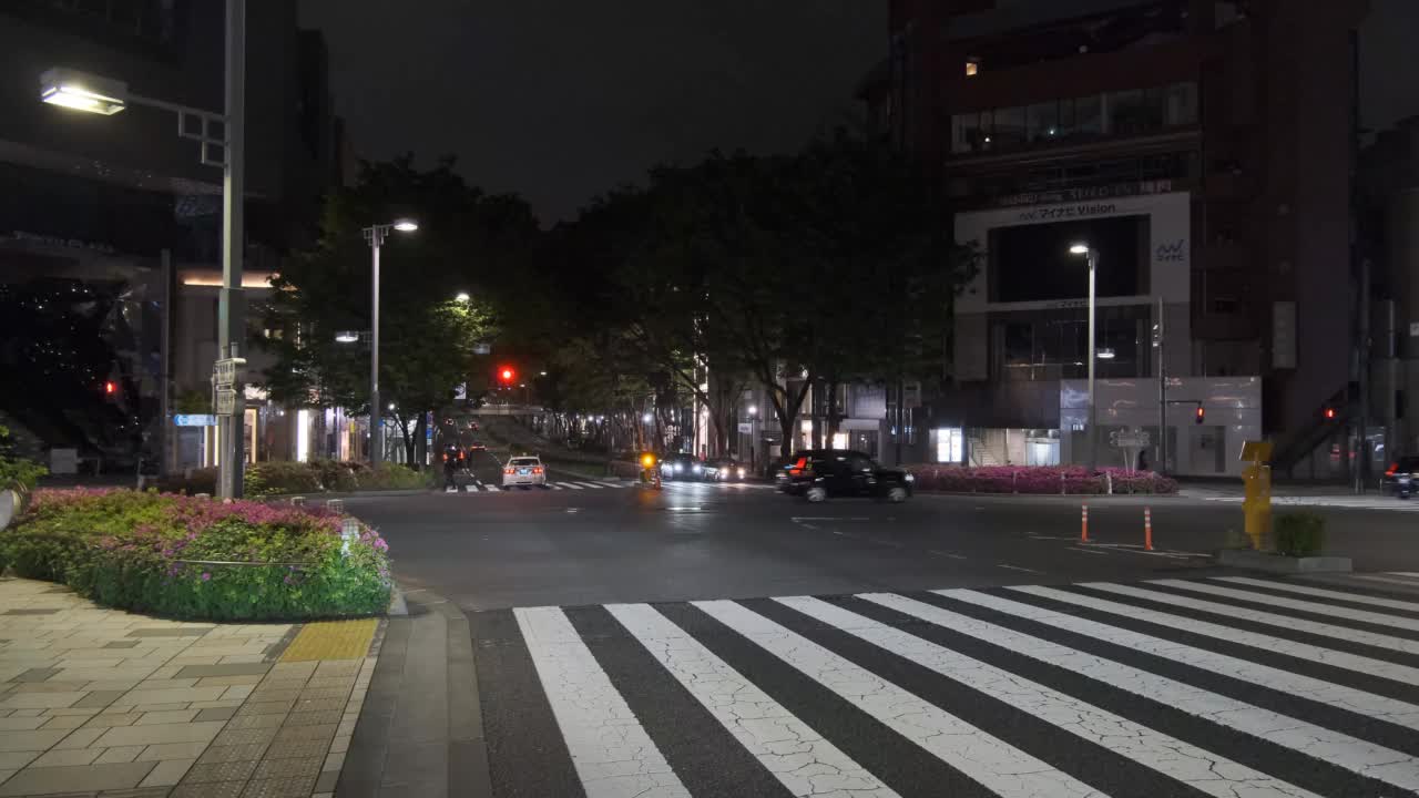 日本原宿，东京夜景2022视频素材