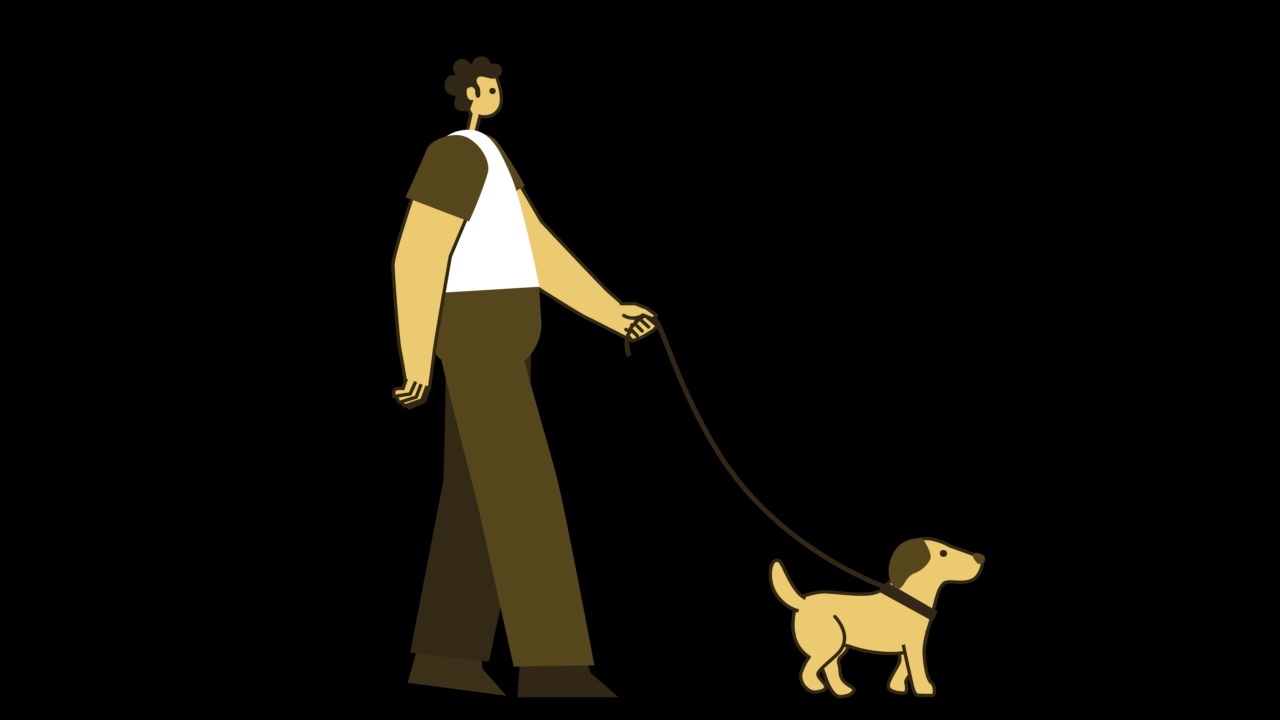 黄色风格的人扁平人物与宠物狗散步。Alpha通道的孤立循环动画视频下载