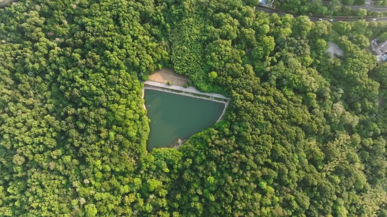 森林中的湖泊鸟瞰图视频下载