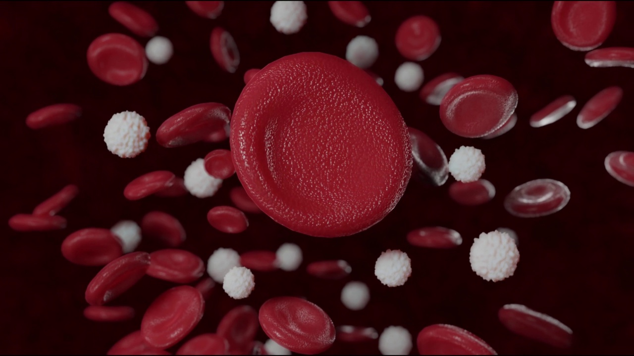 静脉红细胞三维图视频素材