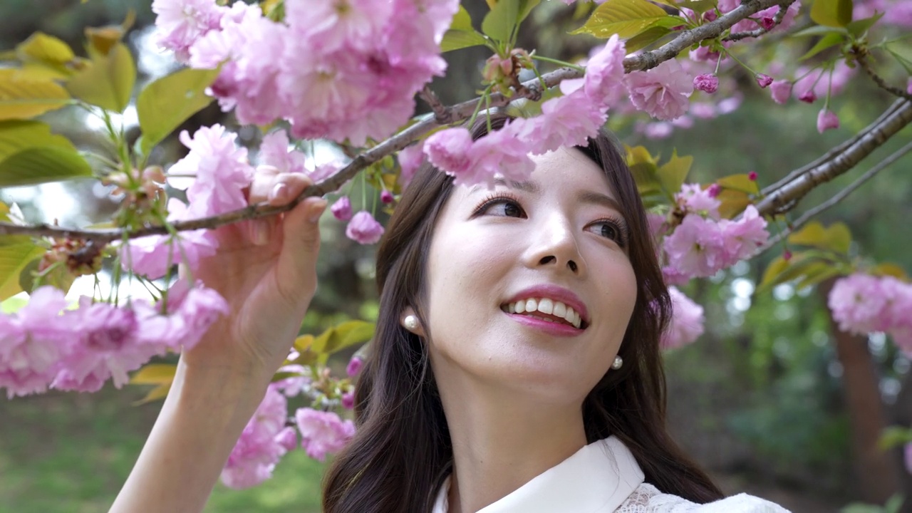 婚礼-年轻的新娘在花下休息/韩国视频下载