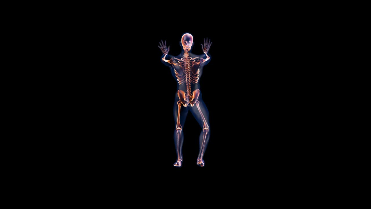 人体x射线身体和骨骼，瑜伽拉伸上视图循环，阿尔法通道视频素材