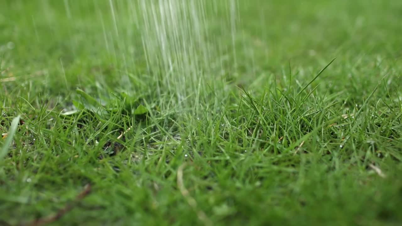 夏天给草坪浇水。园艺的概念。在阳光明媚的日子里，从改良灌溉系统中滴下的水用来栽培花园植物。视频素材