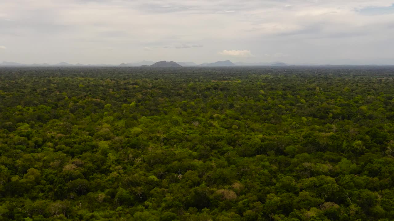 斯里兰卡热带景观的无人机。视频素材