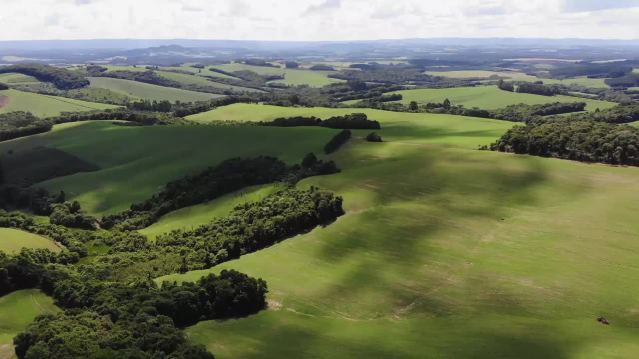 全景鸟瞰无人机飞越绿色的农田和森林视频素材
