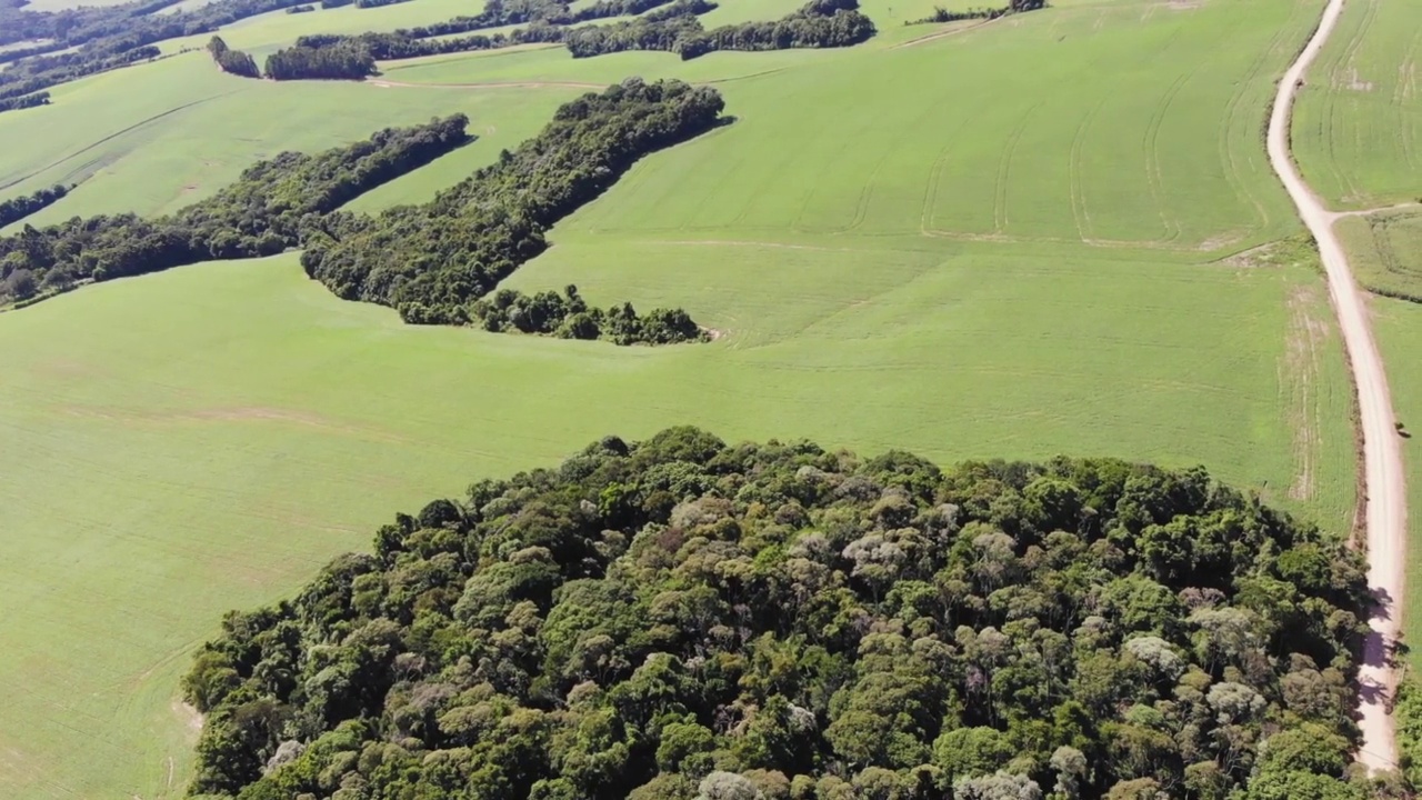 无人机镜头鸟瞰图绿色的农业领域与土路和森林地区视频素材