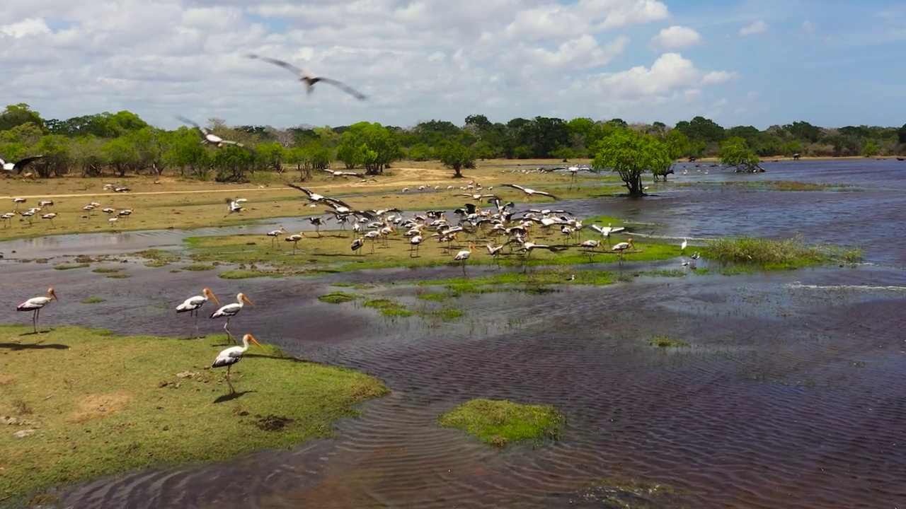有湖泊和鸟类的库马纳国家公园。视频素材