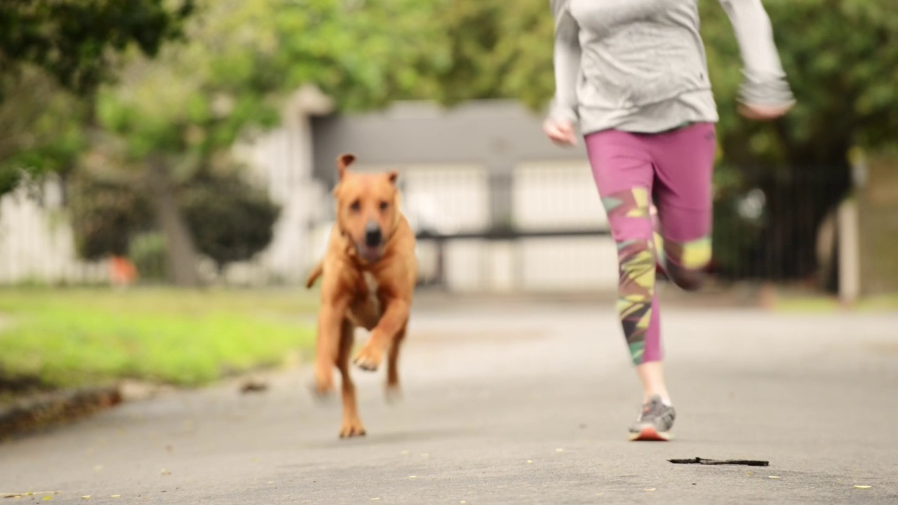 一个女人和她的狗一起跑在街上视频素材