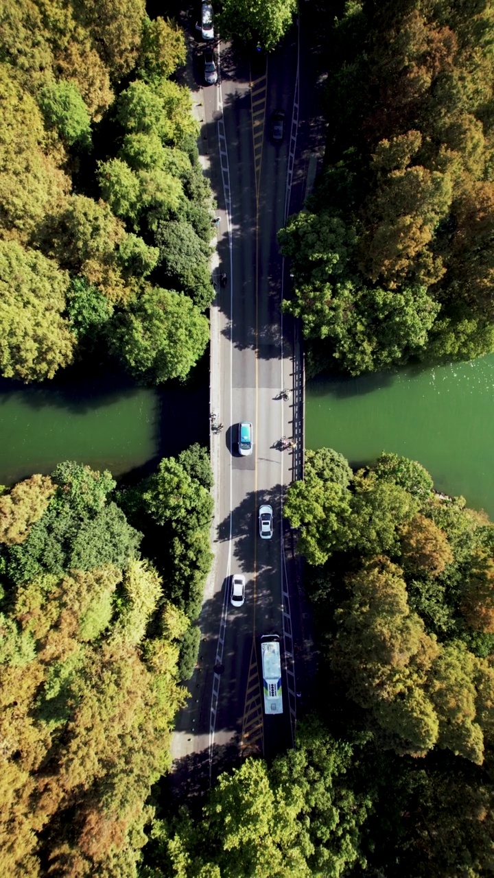 通过湖泊和树木区域的道路鸟瞰图视频素材