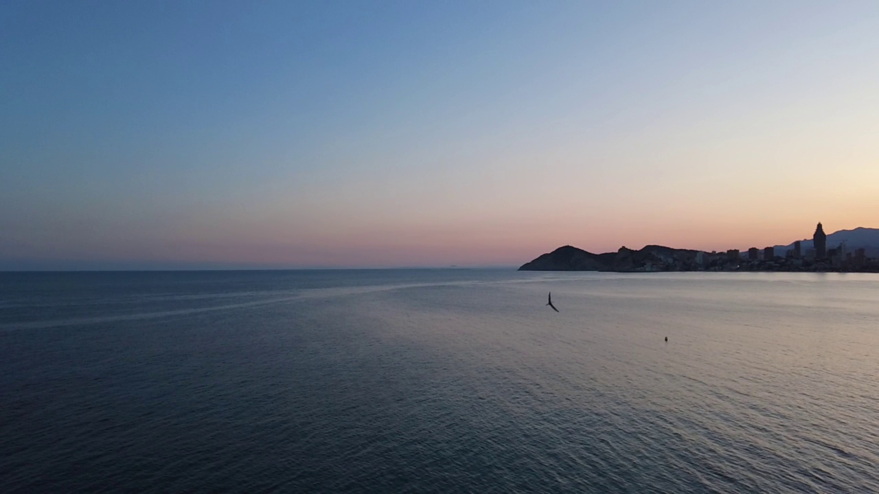 日落时飞过海岸的海鸥视频素材