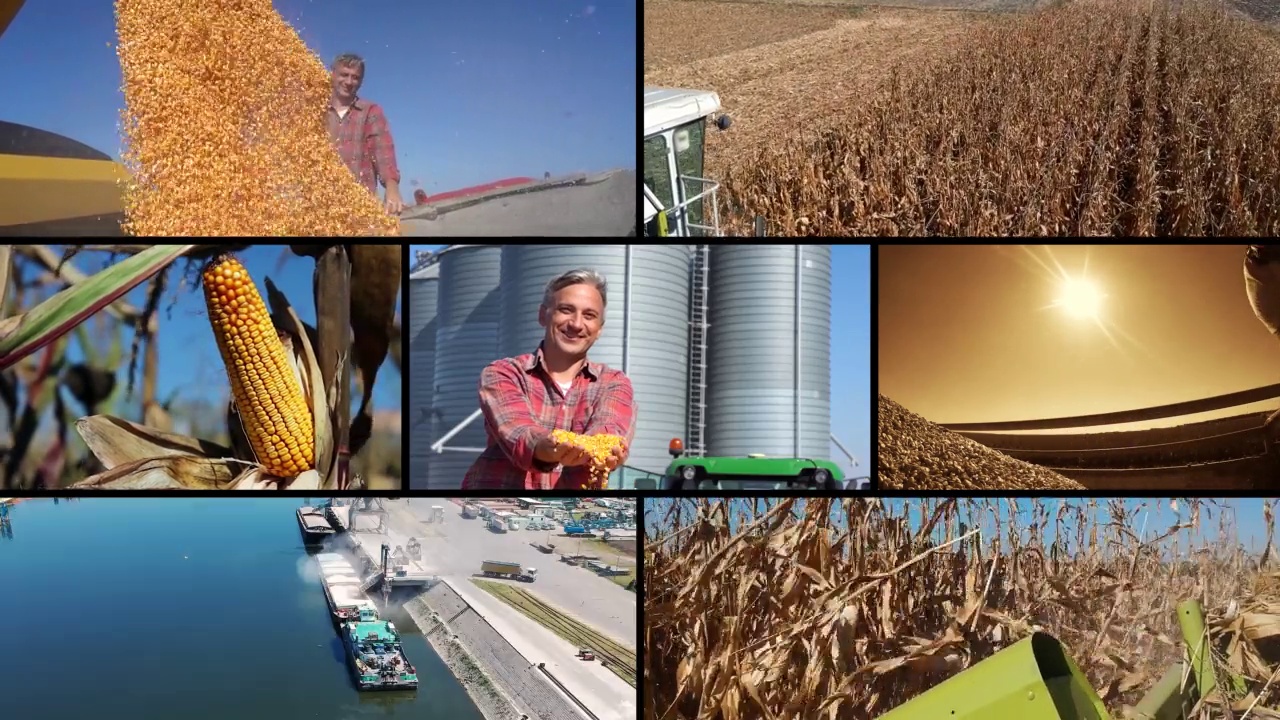 全球玉米贸易、进出口视频下载