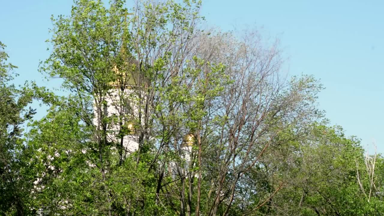 东正教教堂的圆顶视频下载