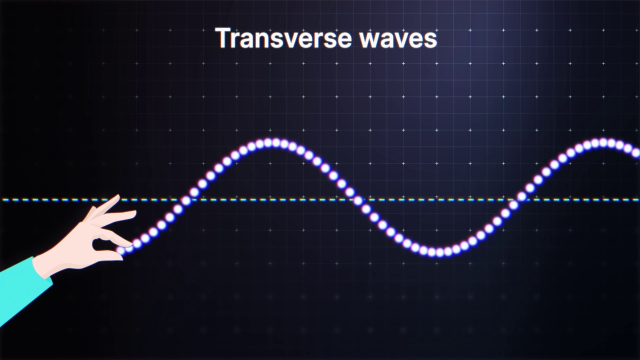 横向波动画。纵波的一代。振幅，波峰，波谷和波长。物理。4 k视频下载