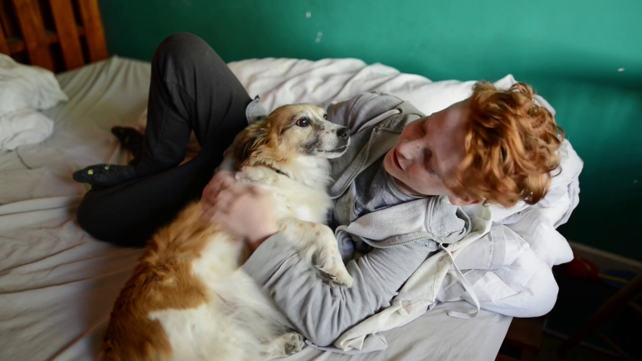 一个男孩在家里的床上和他的狗玩视频素材