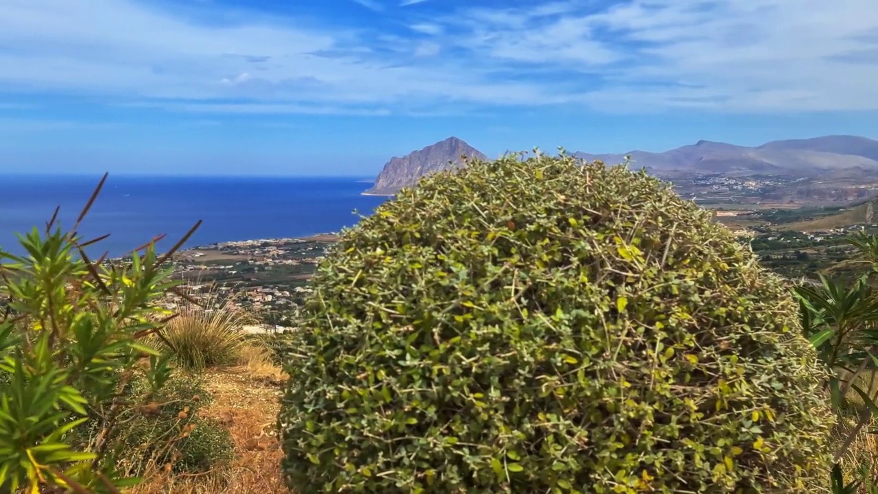 在意大利西西里岛，通过花园的灌木丛，看到了侧面的科法诺山全景视频素材