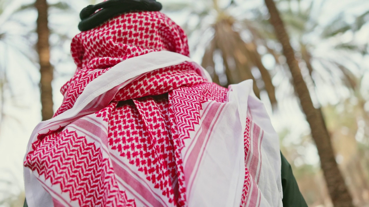 蓄着胡子的沙特男子站在枣椰树林中视频下载