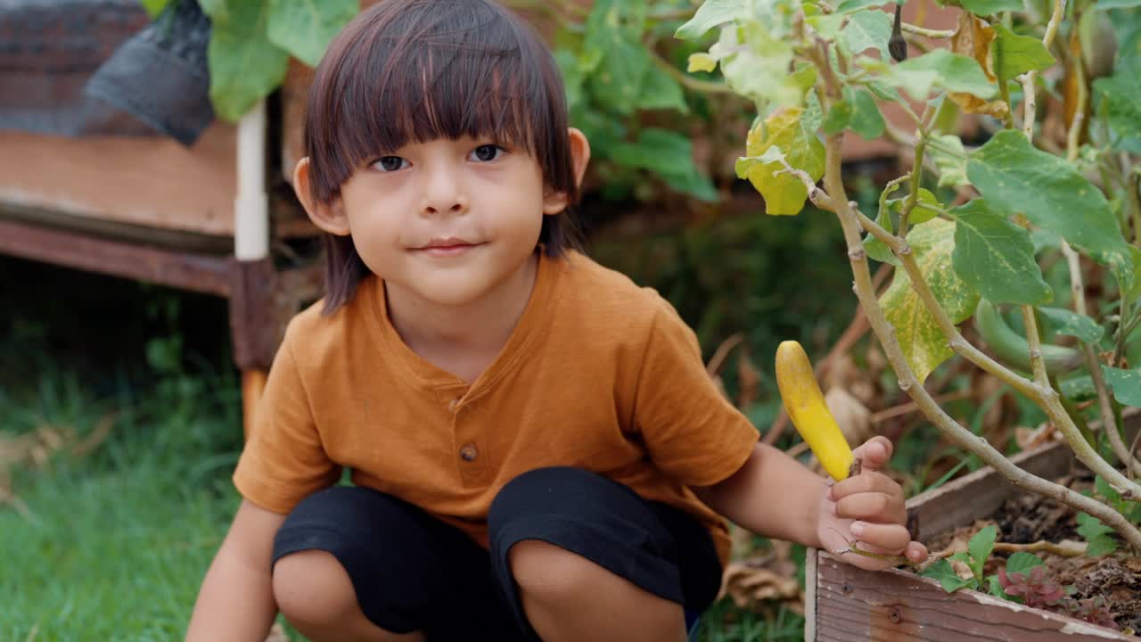 欢快的学龄前男孩在他的农场享受的肖像。视频下载