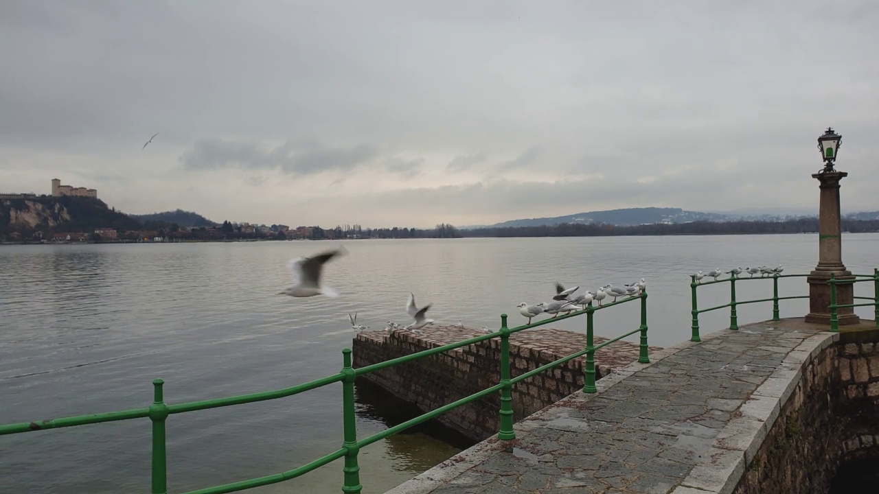 在安杰拉要塞的背景下，海鸥从马焦雷湖的阿罗纳码头的绿色栏杆上飞走视频素材
