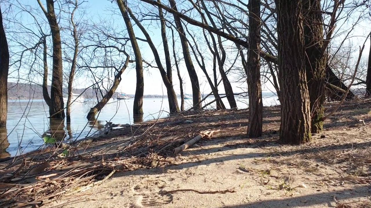 通过树木和小船的马乔雷湖的地面视图。低角度视频素材