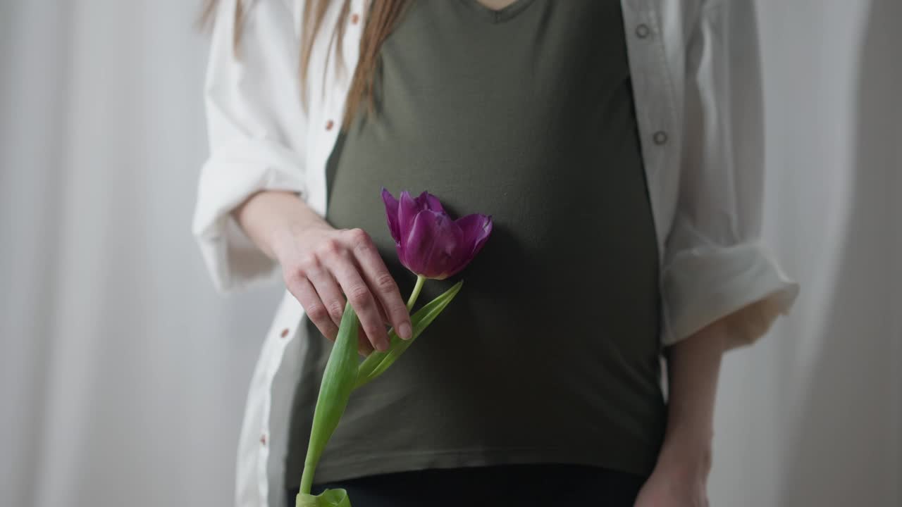 孕妇与紫色郁金香站在室内前视图。一个陌生的白人，期待着花享受着闲暇。视频素材