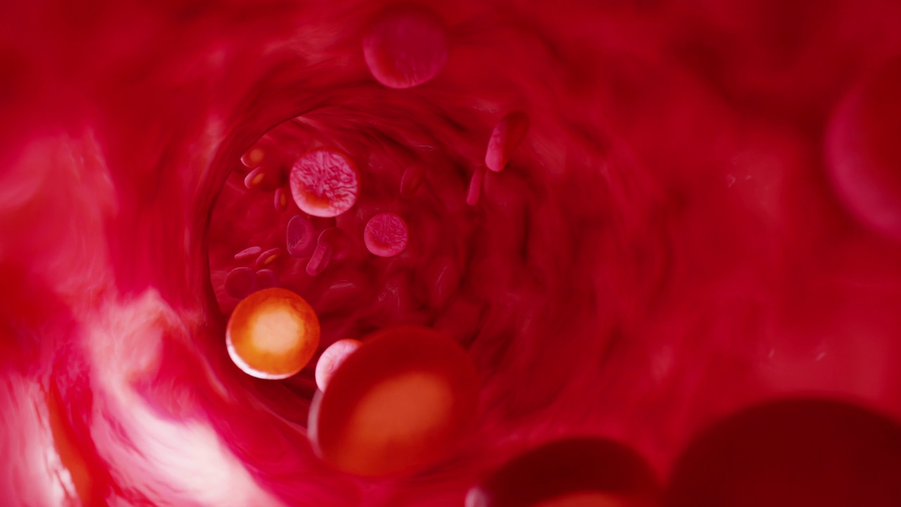 动脉中的红细胞视频素材