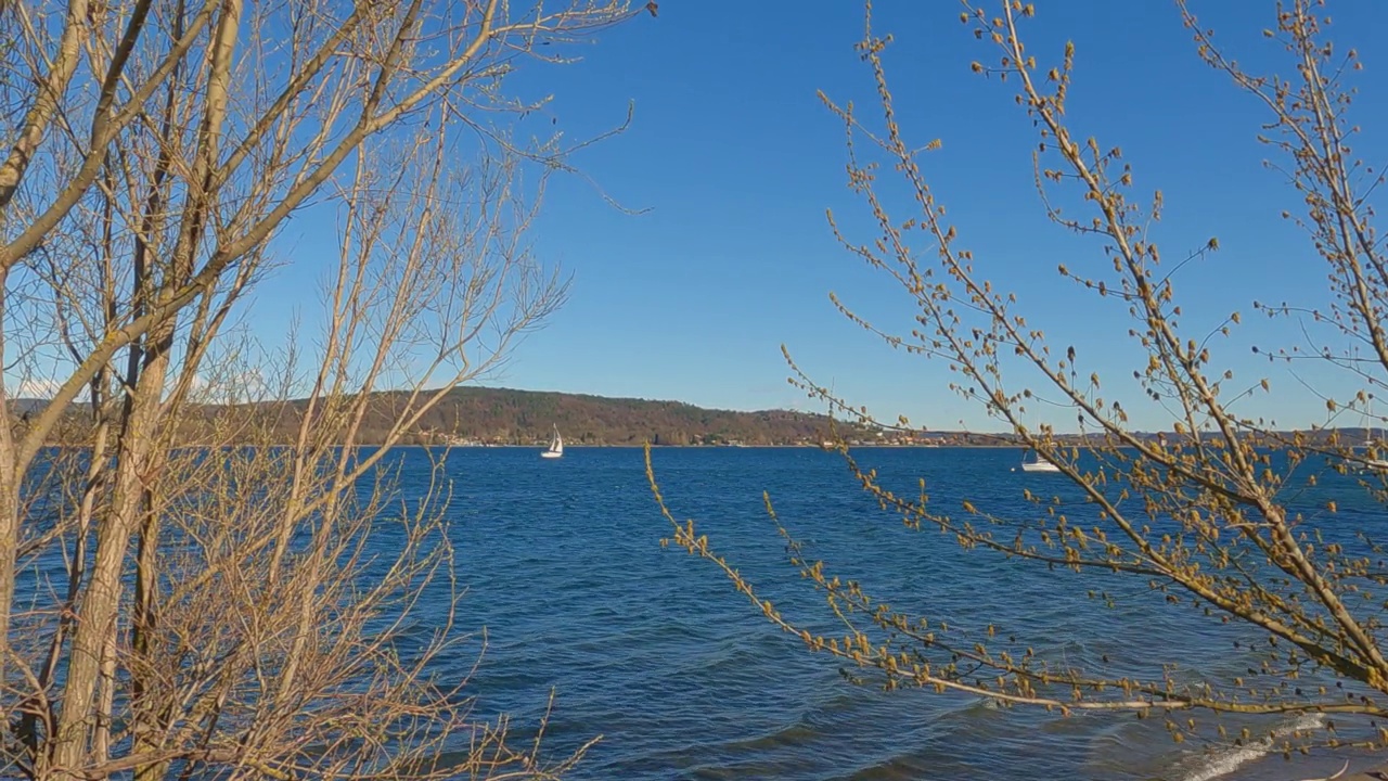 帆船在树木之间的宁静的蓝色湖泊马乔雷在意大利视频素材