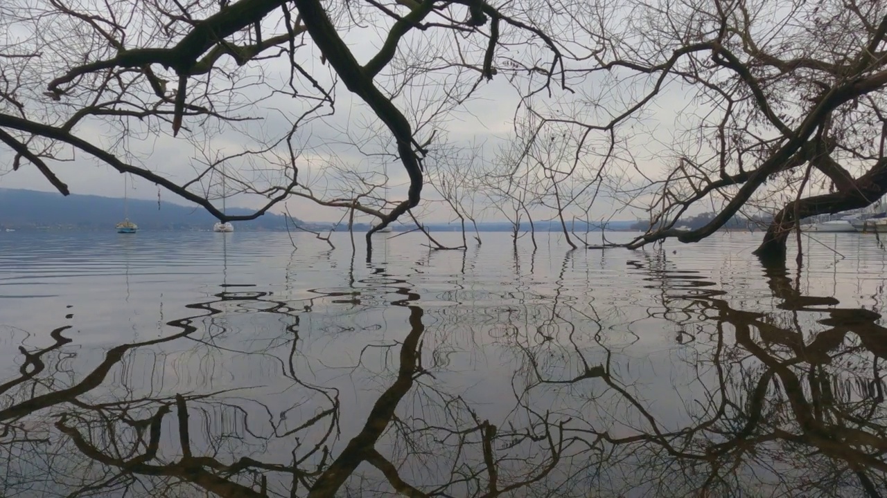 令人惊叹的独特景观的树枝浸泡在湖面的水反射。低角度的观点视频素材