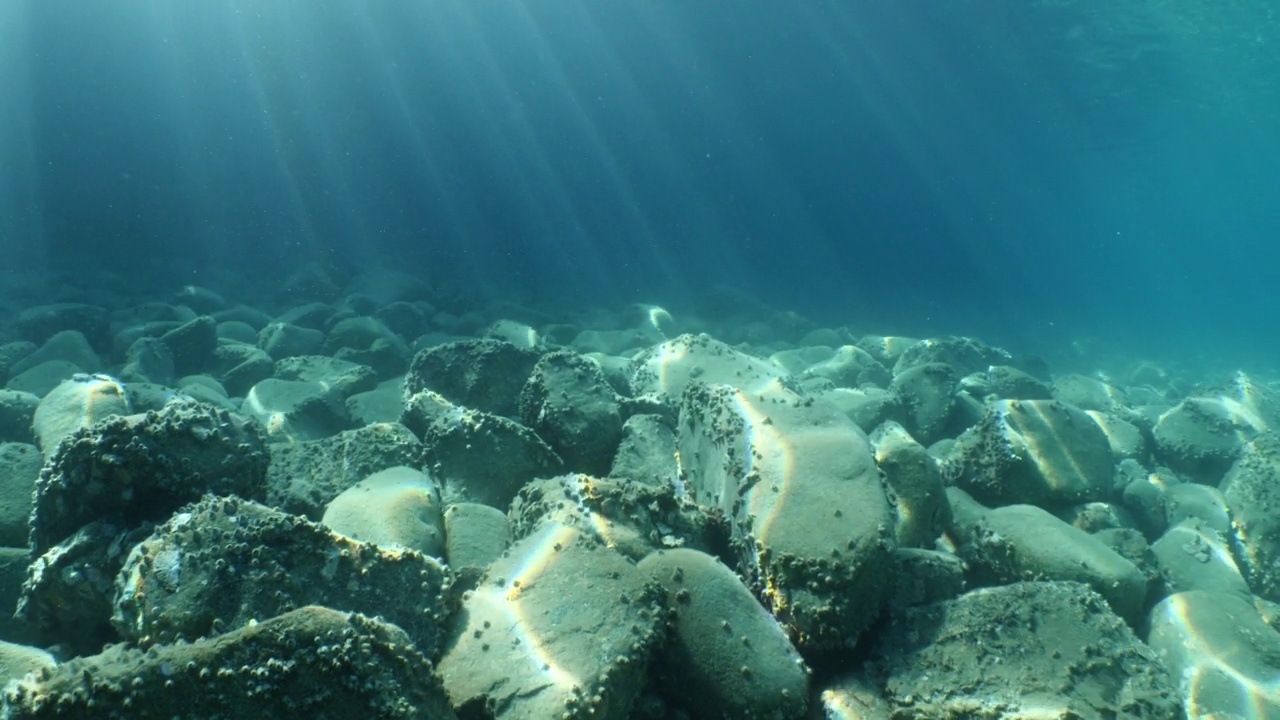 地中海岩石和礁石的水下风景，深蓝色的干净的水，海洋的风景，一些鱼周围的阳光和射线的背景视频素材