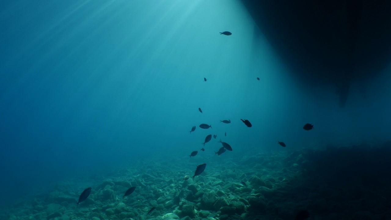地中海岩石和礁石的水下风景，深蓝色的干净的水，海洋的风景，一些鱼周围的阳光和射线的背景视频素材