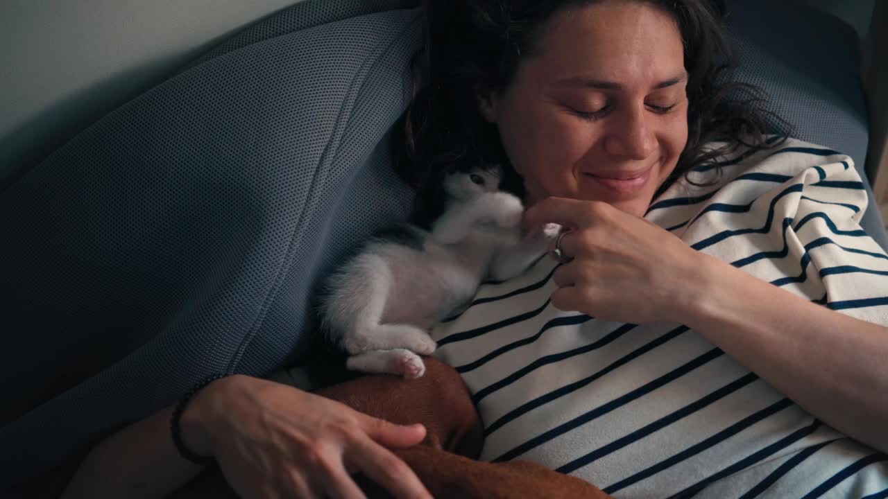 一个年轻的女人爱抚着她的小猫，并和它玩耍视频素材