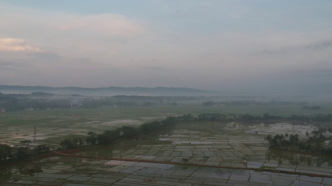 稻田风景。雾蒙蒙的景观。农村地区的农业用地视频下载