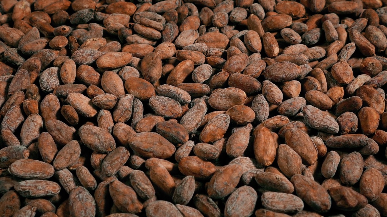 巧克力生产可可豆移动镜头视频下载
