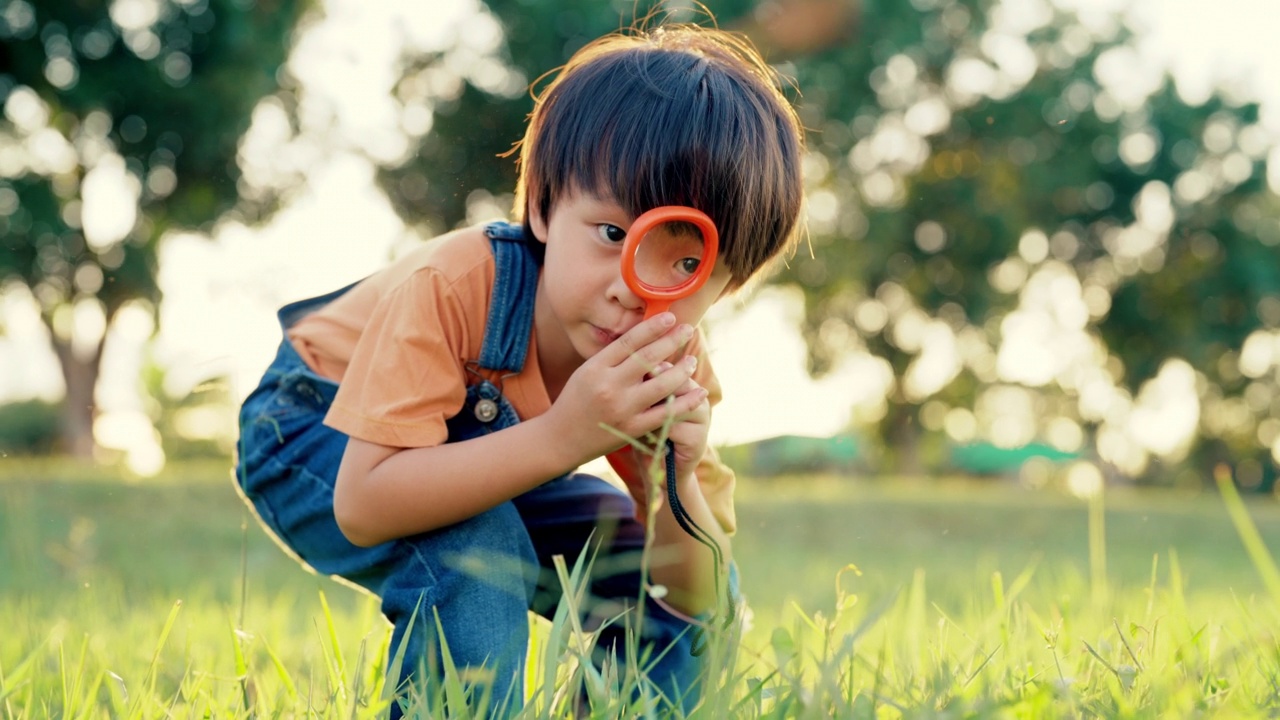 好奇的小男孩用放大镜探索。视频下载