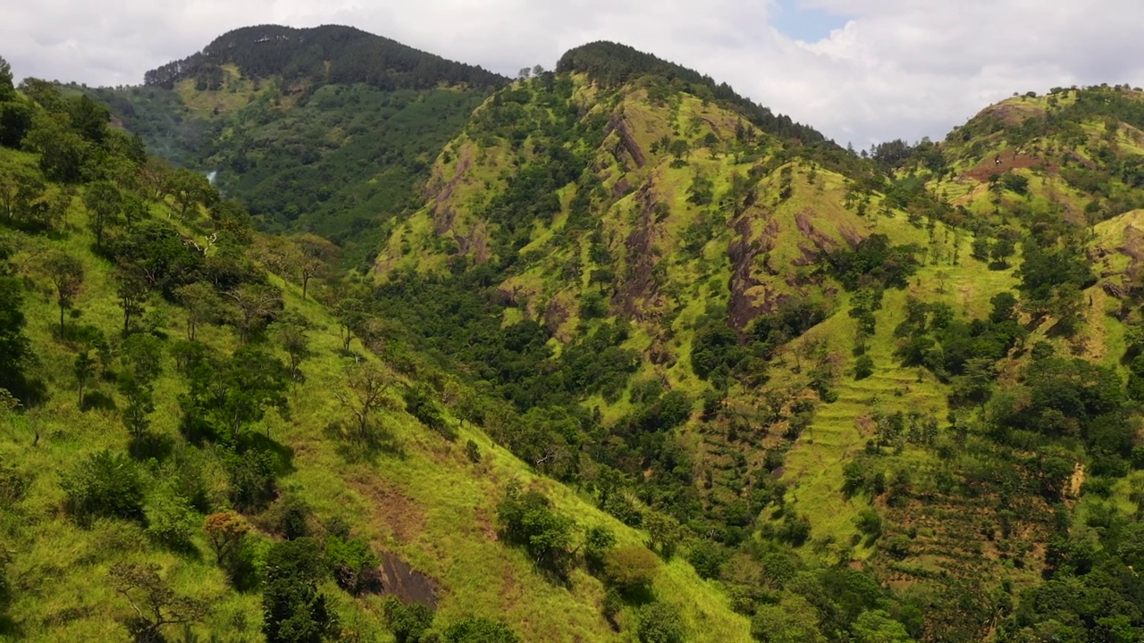 山地景观:覆盖着热带雨林和丛林的山坡。斯里兰卡。视频素材