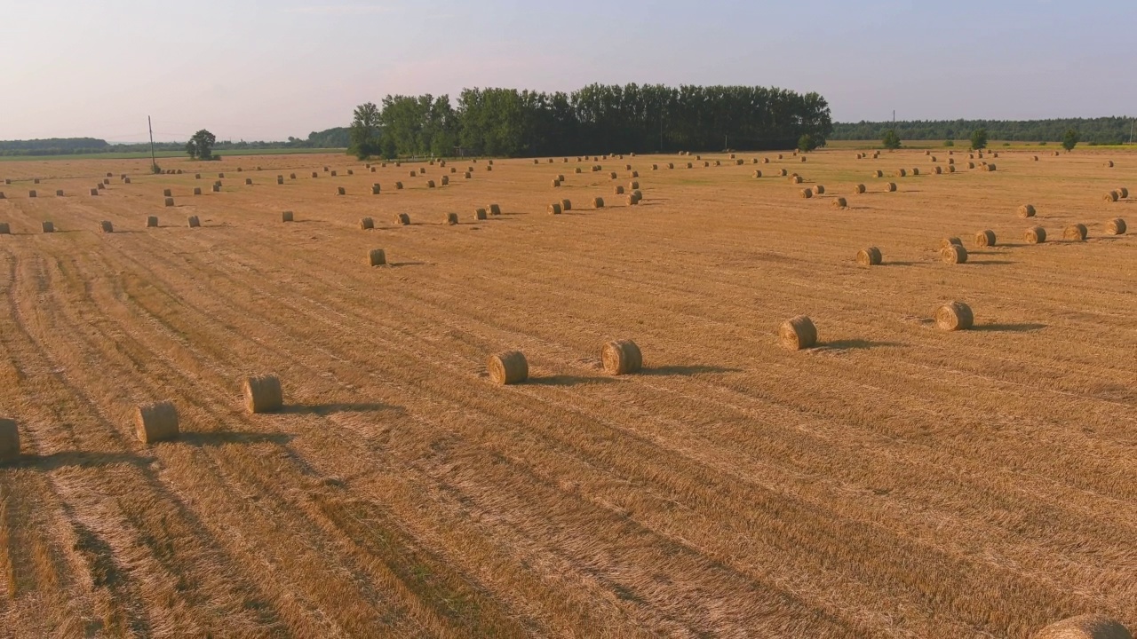 景观稻草包对夕阳的背景。农村自然。小麦收获干草捆视频素材