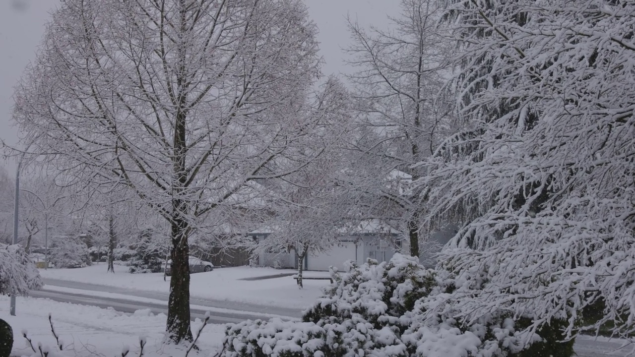 冬天，小区里新下的白雪。视频下载
