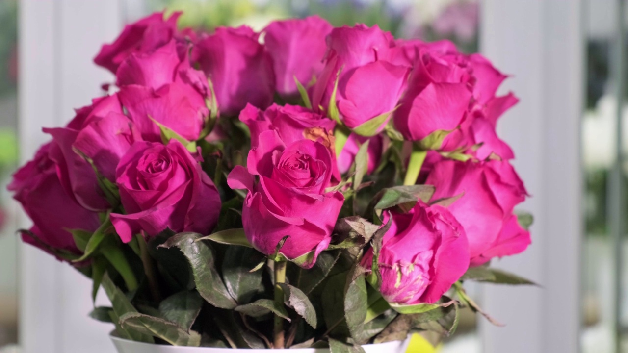 在花店里摆上一束粉红色的玫瑰来庆祝节日。视频素材