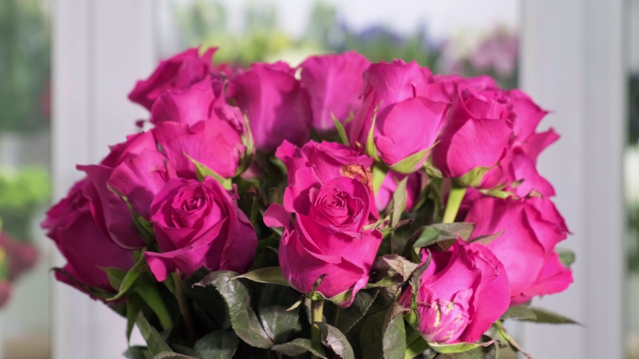 在花店里摆上一束粉红色的玫瑰来庆祝节日。视频素材